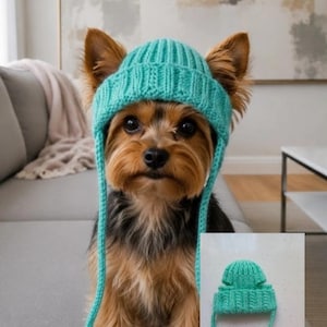 Può includere: Un piccolo berretto in maglia a coste color turchese per animali domestici, dotato di paraorecchie e lunghi lacci intrecciati sottili. Il berretto è mostrato sia indossato da un cagnolino dal pelo marrone e nero, sia come articolo singolo, etichettato come AI mockup.