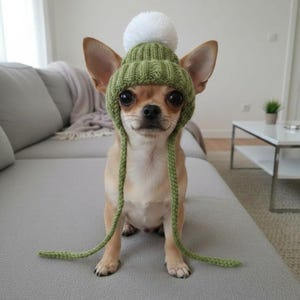 以下が含まれることがあります： 大きな耳を持つ小さな茶色と白の犬が、リブ編みのオリーブグリーンのニット帽をかぶっています。帽子の上部には大きな白いポンポンがあり、両サイドからは細長い編み込みの紐が垂れ下がって、犬の顔を縁取っています。