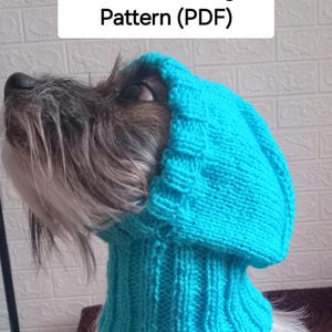 Peut inclure: Un chien portant un bonnet tricoté turquoise vif. Le bonnet couvre la tête et le cou du chien. Le texte "Dog Hat Without Ears - Knitting Pattern (PDF)" est affiché dans un encadré blanc au-dessus du chien.