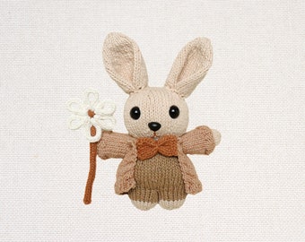 Walter the Rabbit PDF Knitting Pattern | Amigurumi Bunny | Stuffed Animal | Knit Doll