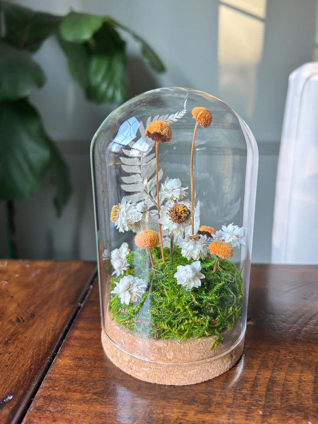 Dried Flower Cloche Terrarium, Glass Cloche, Decor, Nature, Gift - Etsy