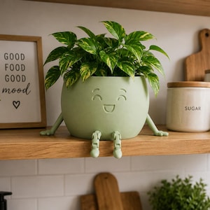 May include: A light green, round planter with a smiling face, arms, and dangling legs, containing a green and yellow variegated pothos plant. The planter sits on a wooden shelf next to a framed sign that reads GOOD FOOD GOOD mood.
