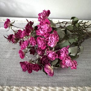 Dried Rose Buds Set: Small Pink & Red Rose Stems, Flower Crafts