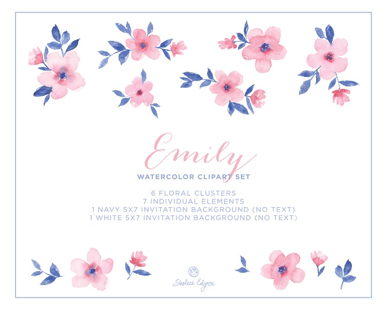 Watercolor Floral Clip Art Emily Pink and Navy Blue image 2