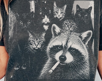 Funny Gangster Raccoon PNG, Raccoon and Angry Cats PNG, Vintage Animal Graphic, Meme Raccoon Shirt Design, Sublimation Design Download