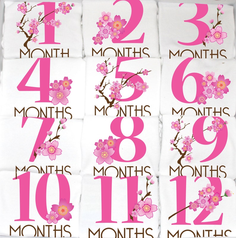 Cherry Blossom Monthly Baby Onesies 12 Month Set Unique Baby Etsy