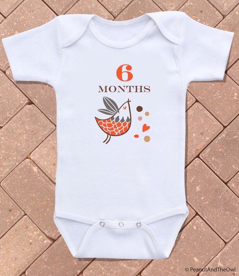 Unique Monthly Baby Onesies 12 Month Set of Onesies Perfect Etsy