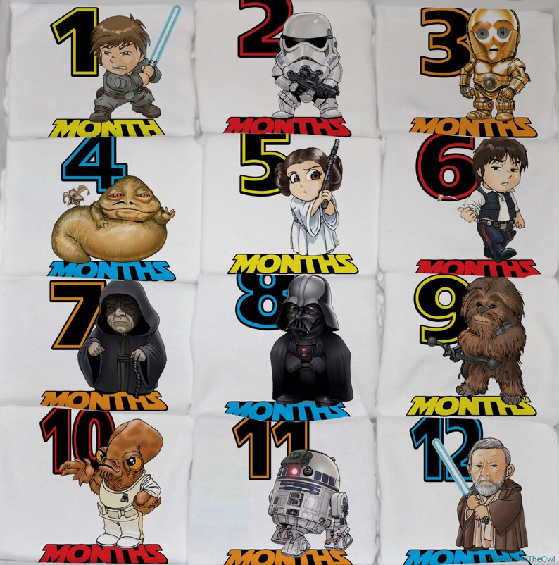 12 Month Set Star Wars Inspired Monthly Baby Onesie Set Star Wars Themed Baby Gift
