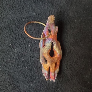 Copper cholla (b)