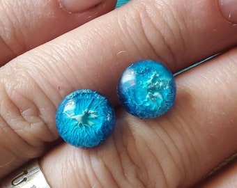 Blue Stud Earrings