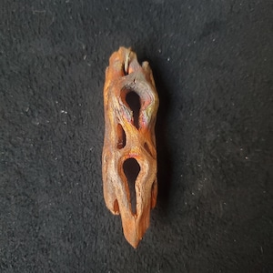 Copper cholla (a)