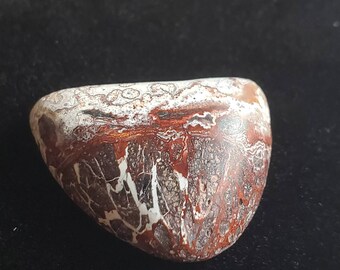 Crazy Lace Agate Cabochon