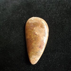 Agatized Dinosaur Bone Cabochon