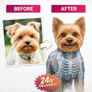 May include: An image depicting a Yorkshire Terrier's transformation. The left side shows a photo of the dog, while the right side is a cartoon with an x-ray view of its skeleton. The image includes the text "24hr DELIVERY!"
