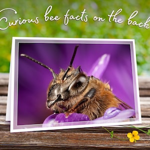 Carte de voeux représentant une pluie d'abeilles avec de curieuses anecdotes sur les abeilles, impression d'art irisée scintillante (5 x 7 po.)