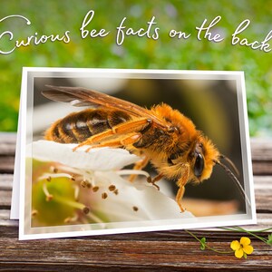 Carte de voeux d'abeille minière couleur flamme avec de curieuses anecdotes sur les abeilles, impression d'art irisée scintillante (5 x 7 po.)