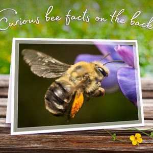 Carte de voeux Abeille pelle volante avec de curieuses anecdotes sur les abeilles, impression d'art irisée scintillante (5 x 7 po.)