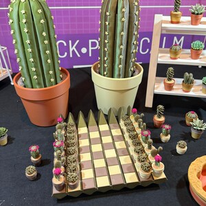 May include: Display of various miniature cactus and succulent plants in small pots. Two large, green cactus plants are in terracotta and cream-colored pots. A display of miniature plants is arranged on a checkerboard-like structure.