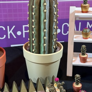 May include: A large, olive-green cactus in a beige pot, adorned with small, star-shaped accents. The image also features a white shelf with miniature cacti in terracotta pots, and a row of decorative cactus-shaped fence pieces.
