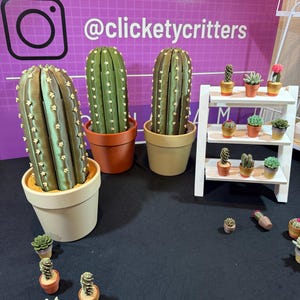 May include: A display of miniature cactus and succulent plants in terracotta pots and a white tiered shelf. Three large, textured cactus plants are in beige and orange pots. The background features the Instagram logo and the text "@clicketycritters".