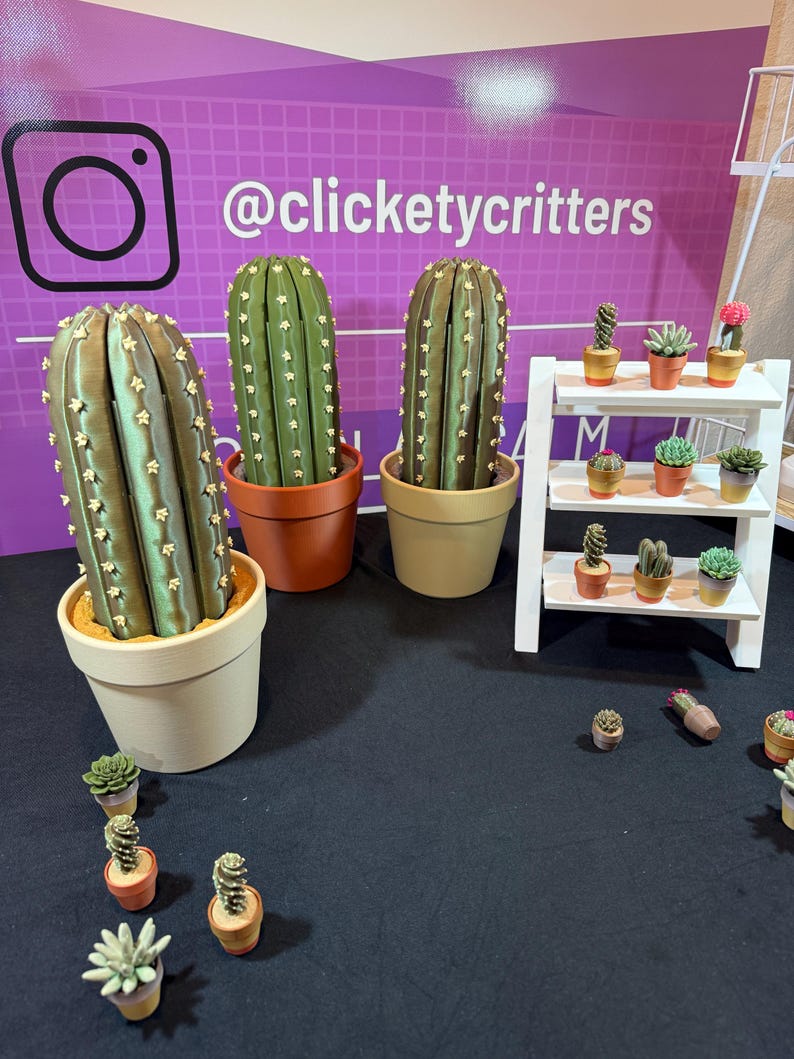 May include: A display of miniature cactus and succulent plants in terracotta pots and a white tiered shelf. Three large, textured cactus plants are in beige and orange pots. The background features the Instagram logo and the text "@clicketycritters".