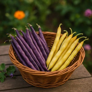 Op de afbeelding: Een gevlochten mand gevuld met verse sperziebonen. De mand is verdeeld in twee secties, één met levendige paarse bonen en de andere met heldergele bonen. De achtergrond is een wazig beeld van groen en bloemen.