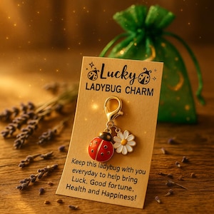 May include: A ladybug charm with a red and black body and a white daisy charm, attached to a gold-coloured clasp. The charm is on a tan card with the words "Lucky LADYBUG CHARM" and a message about luck and happiness. A green drawstring bag is in the background.