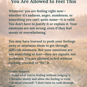 May include: A rectangular print featuring dark text on a light background. The title reads You Are Allowed to Feel This, followed by paragraphs about validating emotions and a list of Gentle Support steps including breathing and not rushing.