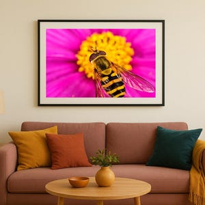 Puede incluir: Fotografía enmarcada de una abeja sobre una flor rosa vibrante con un centro amarillo. La abeja tiene rayas negras y amarillas. La imagen se muestra sobre un sofá rosa con cojines coloridos.
