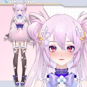 Premade Live2D Vtuber Model: Ready to Use, VTubeStudio Compatible