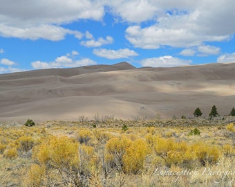 Sand Dunes, Colorado Photograph