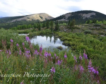 Weston Pass Colorado Photograph