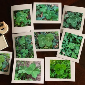 Set of 8 Four Leaf Clover Photography Notecards image 1