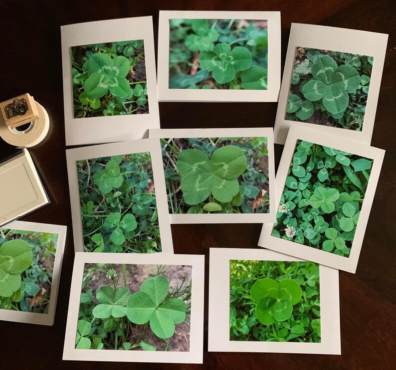 Set of 8 Four Leaf Clover Photography Notecards image 1