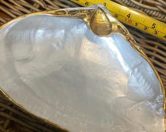 Handcrafted Decoupage Shells - Unique Coastal Decor