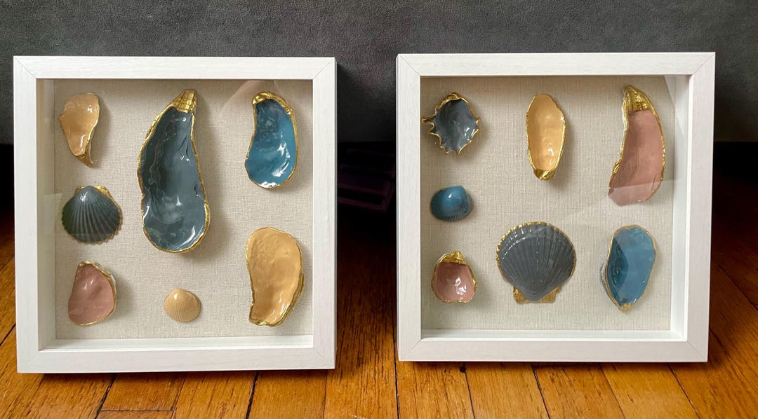 Frame Exhibition Shell Frames Shells - Etsy