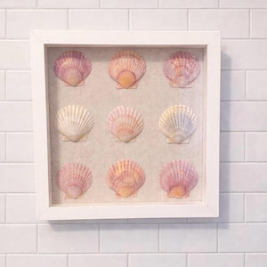 Può includere: Una cornice bianca presenta nove conchiglie. Le conchiglie, in tonalità di rosa, pesca e bianco, sono disposte su un tessuto neutro. Ogni conchiglia ha una forma a ventaglio. La cornice è montata su una parete piastrellata bianca.