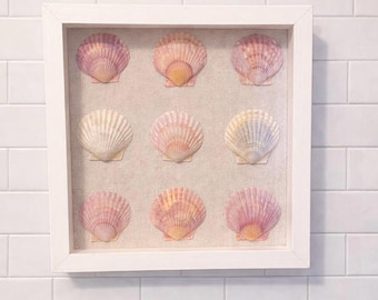 9x9 Coastal Shell Shadow Box – Hand-Arranged Scallop Shell Wall Art