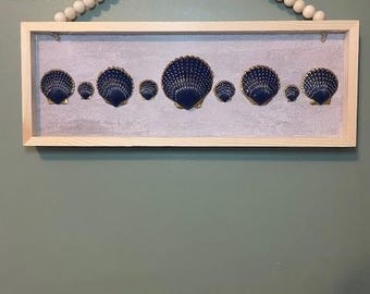 Shell display wall art