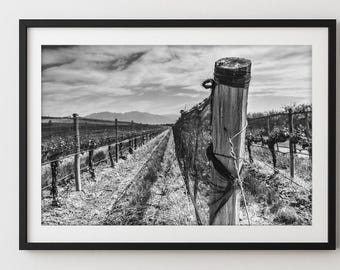 Black and white photography . Wine . Digital download . Printable wall art . Landscape