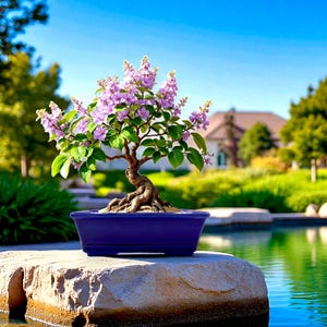 Bonsai Schale, handgemacht, Keramik, Rechteckig, Blau, 18 x 13 x 5,7 cm