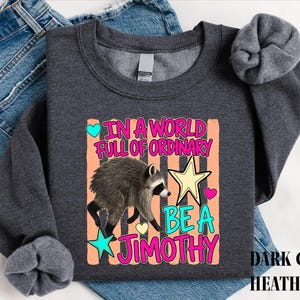 A gray sweatshirt with a colorful graphic design featuring a raccoon and text that reads "In a world full of ordinary, be a jimothy".