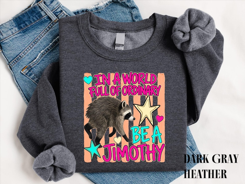 A gray sweatshirt with a colorful graphic design featuring a raccoon and text that reads "In a world full of ordinary, be a jimothy".