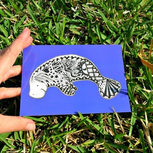 Manatee Animal Art Postcards image 2