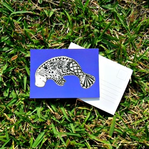 Manatee Animal Art Postcards image 4