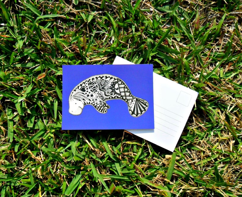 Manatee Animal Art Postcards image 4