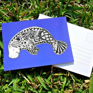 Manatee Animal Art Postcards image 1