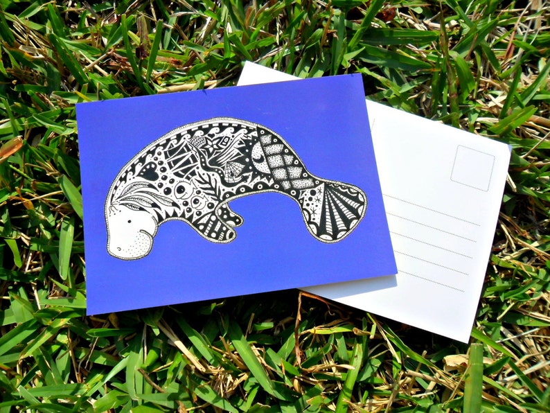 Manatee Animal Art Postcards image 1