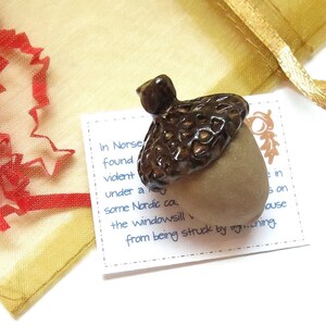 May include: A handcrafted acorn pendant with a brown cap and a tan body. The pendant is displayed on a white surface with a small card that has text on it. The acorn is presented in a gold organza gift bag.