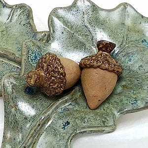 May include: Two brown ceramic acorns on a green and white ceramic leaf dish.